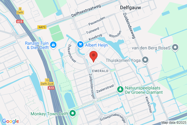 Drs. M.M. Delfgaauw