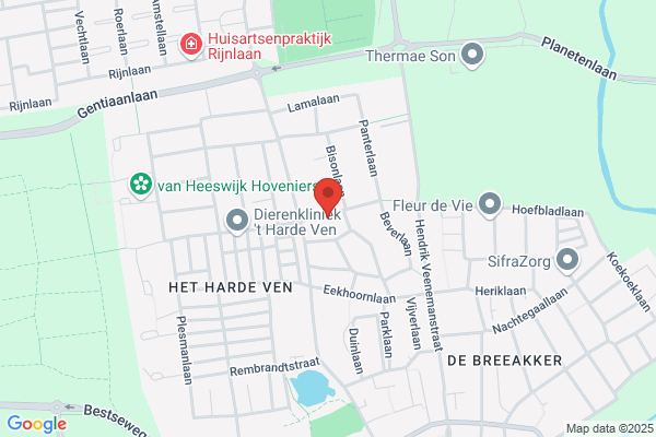 V Rhienen Cons. & Management Serv. Bv