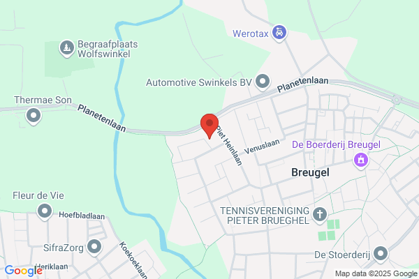 Bamboebeer, De