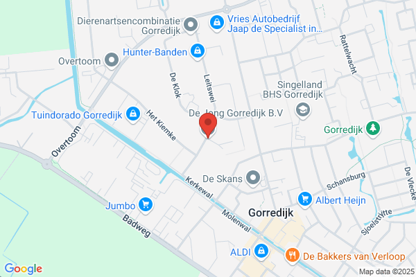 Jong, De