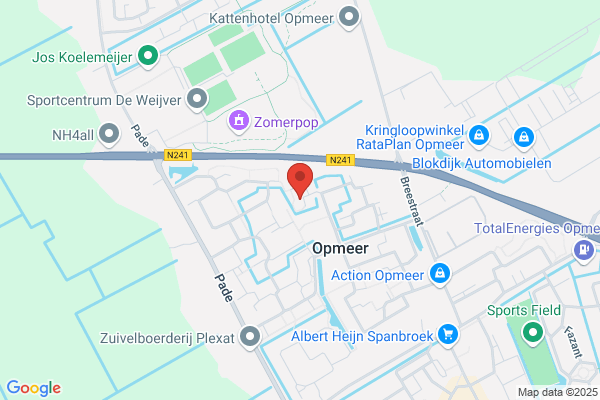 Stadsperiodieken Nederland