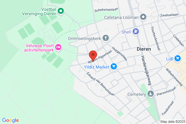 Plasman En Rengers, Organisatie-Adviseur