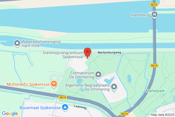 Dierenasiel Streekdierentehuis Vp & Go