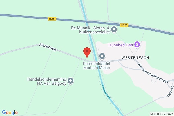 Koeriersdienst L.M. Koudijzer