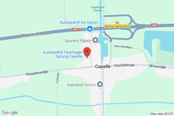 Hoefnagel, H