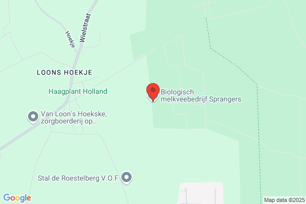 Sprangers Paprikakwekerij