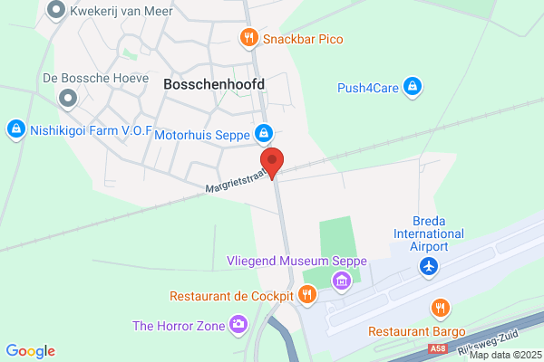 Broeren, P C