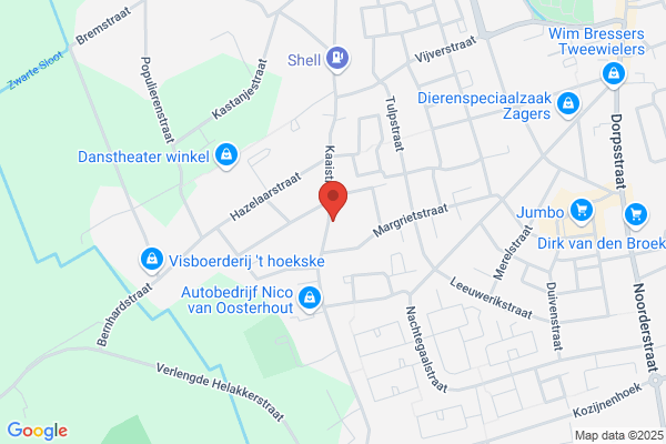 Van De Giessen