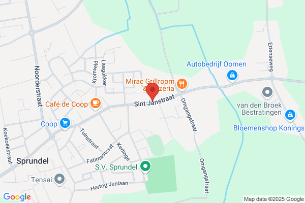 't Salonneke