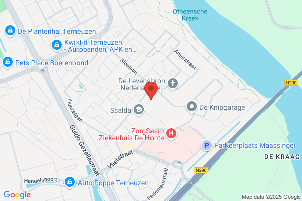 Zeldenrust-Steelantcollege