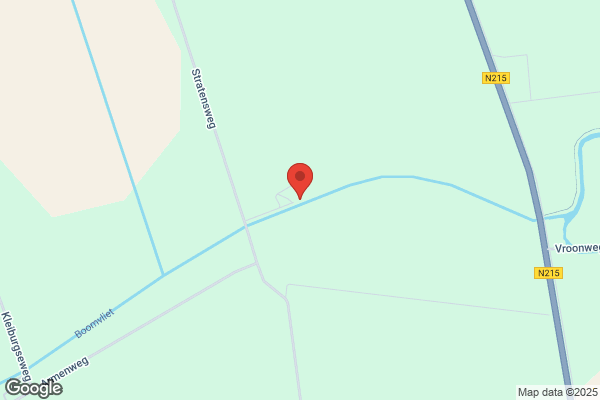 Bsw Zwn Techniek