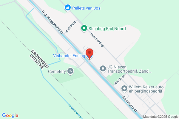 Ensing, Ron