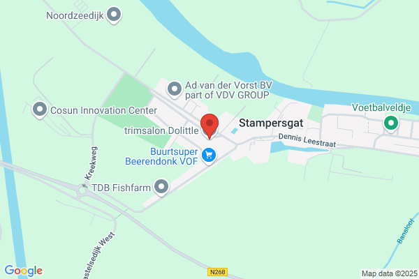 Hondenkapsalon 't Gabbertje