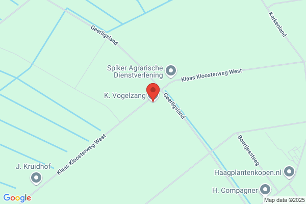Vogelzang, K