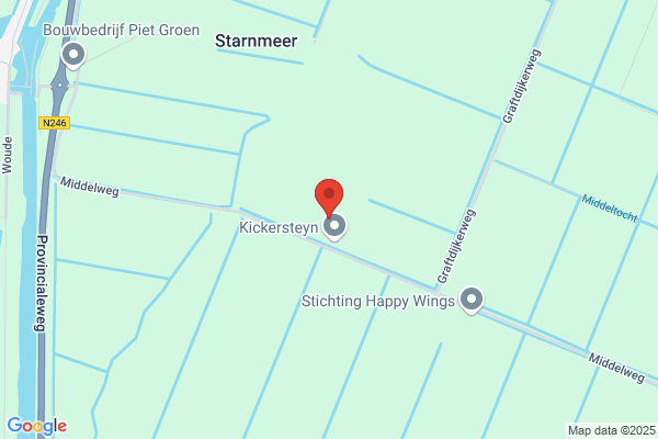 Dik, Van