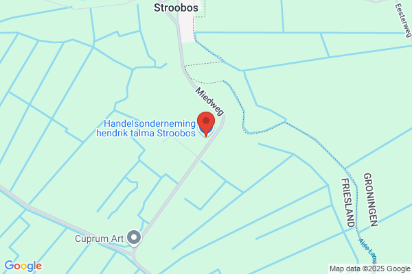 Handelsonderneming Zoon