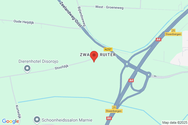 Vlieger, De