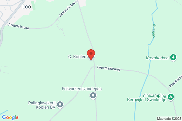 Koolen Bv