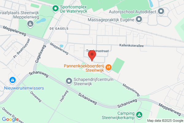 Raad Steenwijk Cv