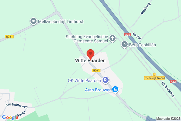 Witte Paarden, De