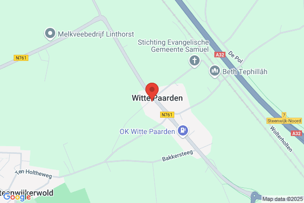 Bijen Koning, De
