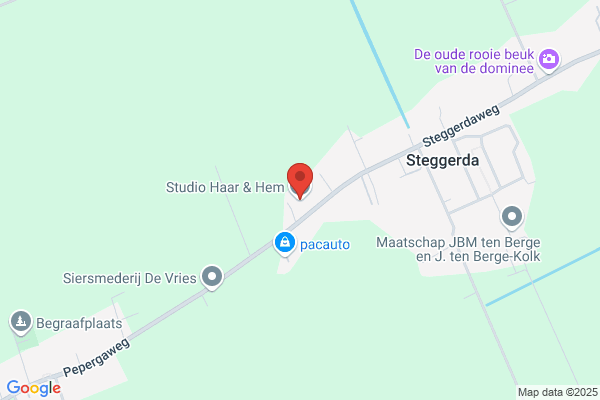 Kapsalon Stegeman