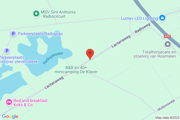 Eindse Boys