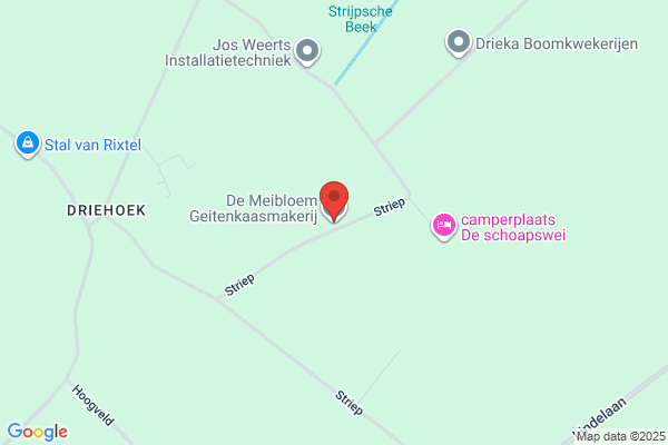 Meibloem, De