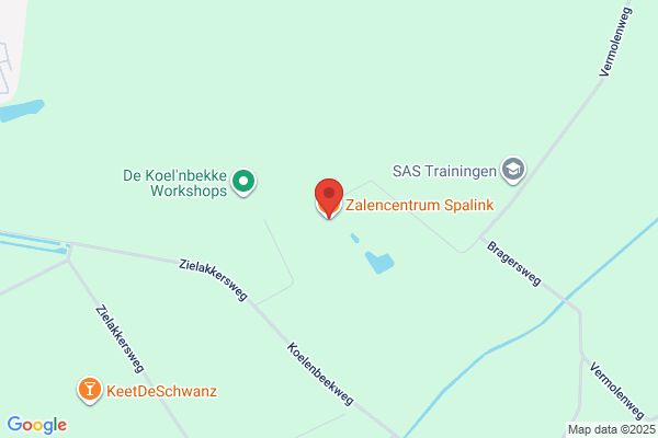 Spalink