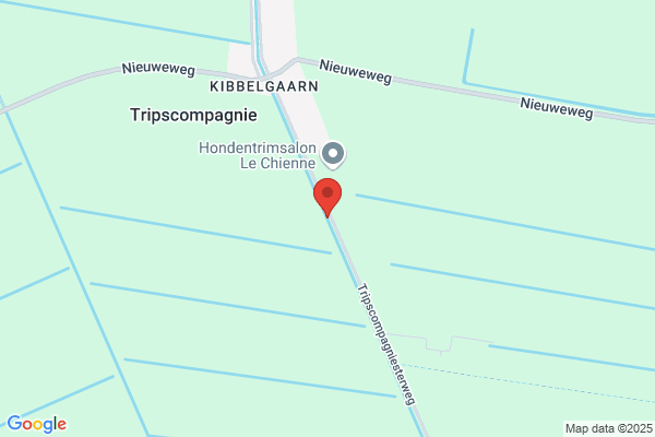 Dieptriest Vof