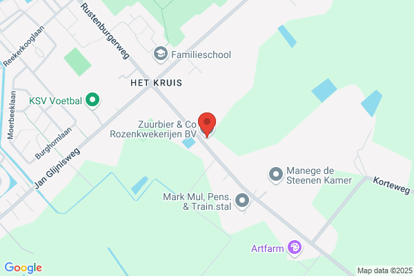 Zuurbier & Co Rozenkwekerijen Bv