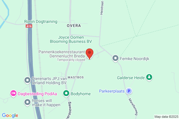 Dennenlucht Breda