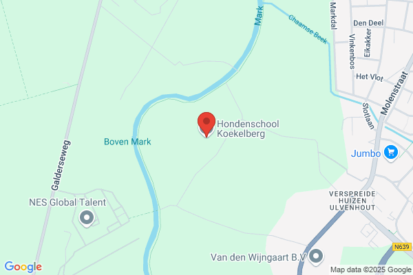 Hondenschool Koekelberg