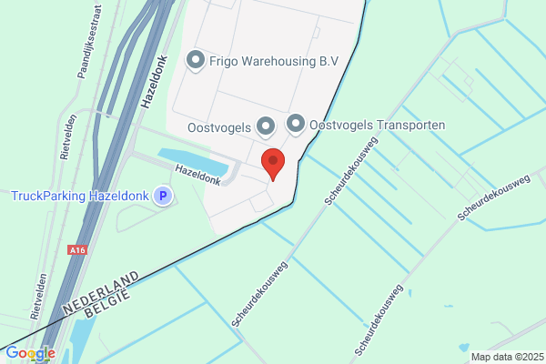 Jong Bv, De