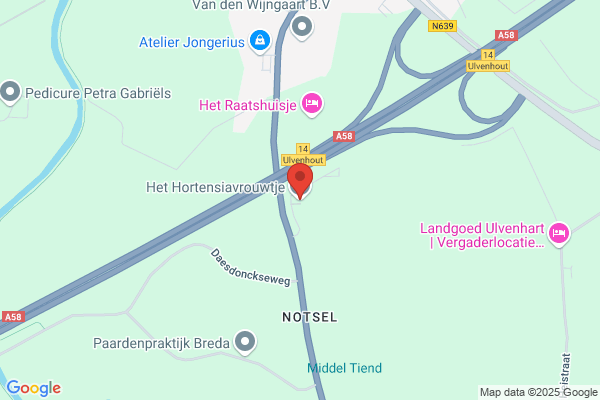 Vermeeren, Anita