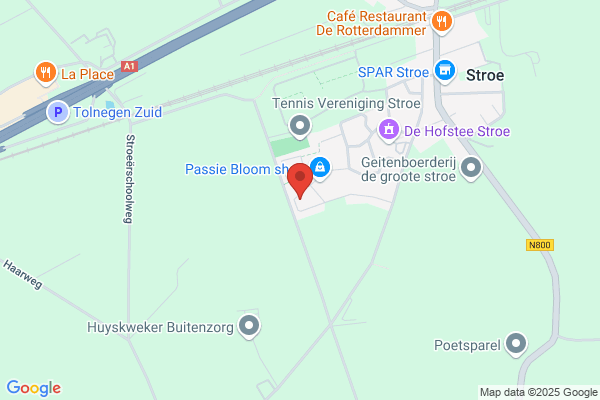 Braak, S Van De