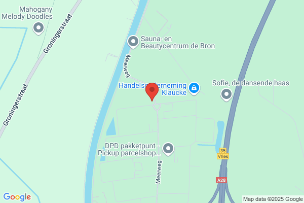 Kolibrie, De