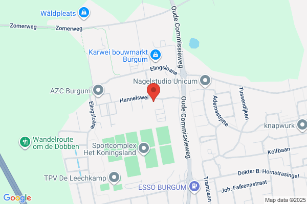 Auto Center Burgum