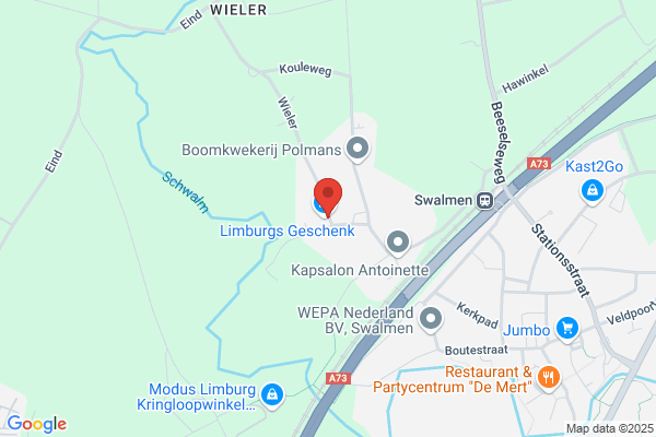 Janssen