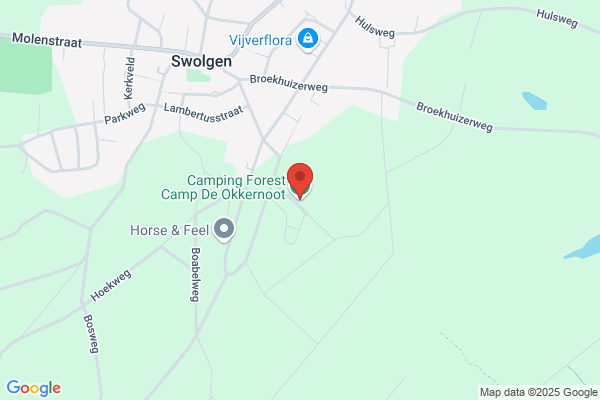 J.W.G.M. Camps