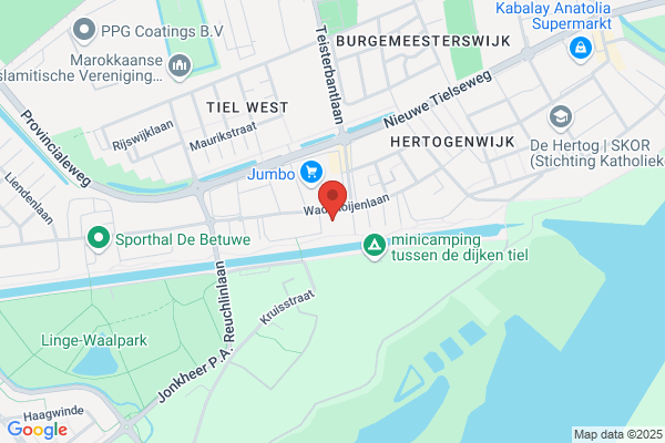 Ribw Dolfijn
