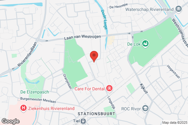 Harlekijn