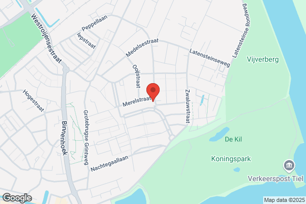 Kars Transport Begeleiding