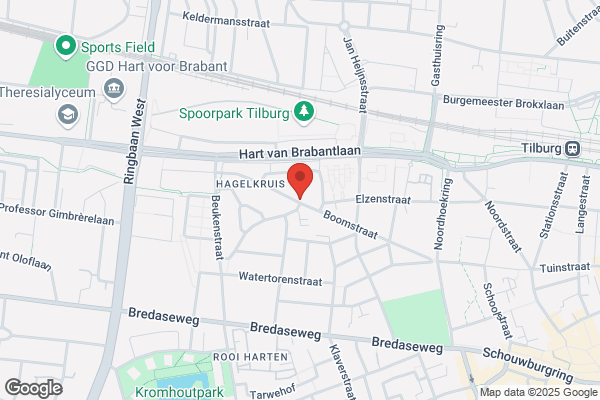 Springlevend, Lichaamsgerichte training en coaching