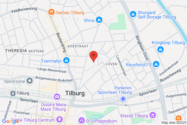 Kools, Oosterse En Perzische Tapijten