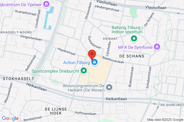 Lieshout, Floor Van