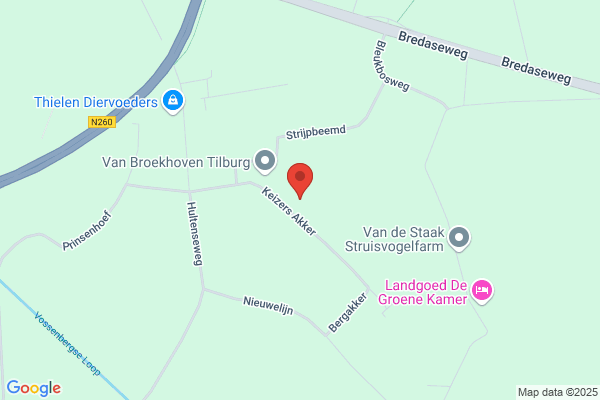 Tiny Van Der Plas