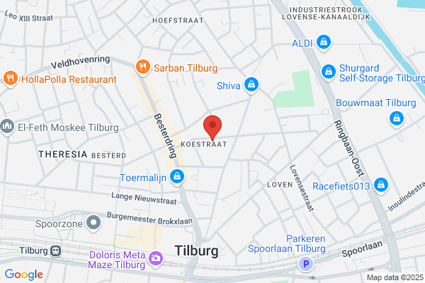 Edelsmid Ton Van Dooren