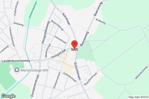 Mill, The