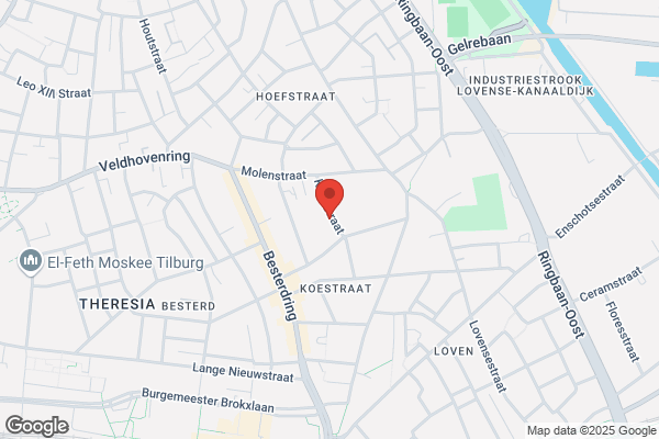 Neerlands Hoop